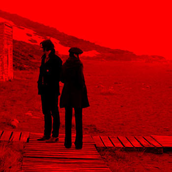 the white stripes