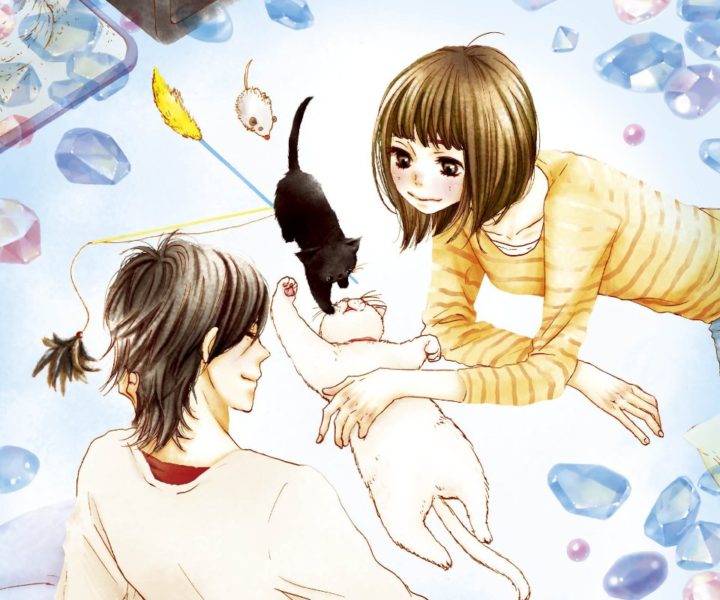 sukiiinayo1