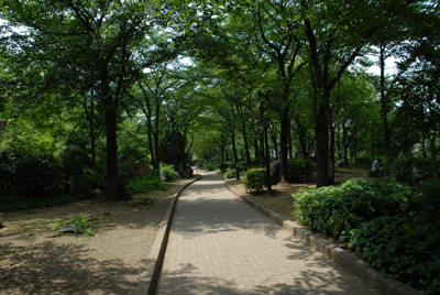 kng_img_sanpo0807_10