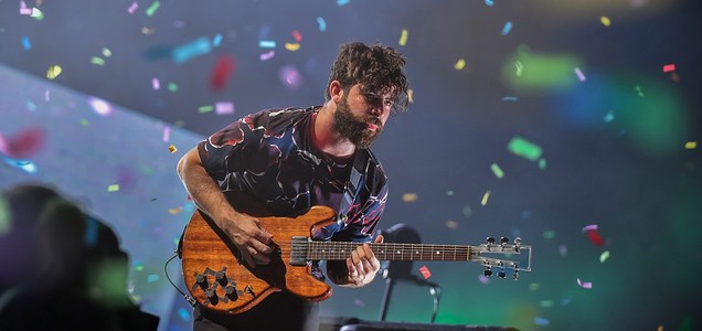 Foals