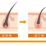 脱毛周期をあけすぎると危険?足・全身など関係ないのか調べてみた